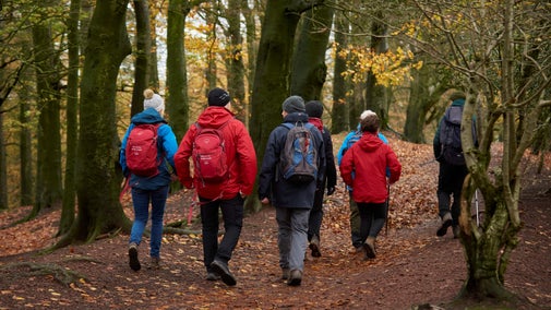 Volunteers leading a guided walk in nature